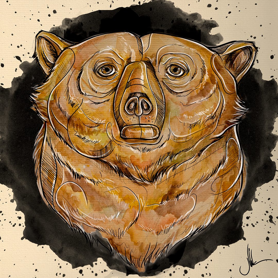 bear