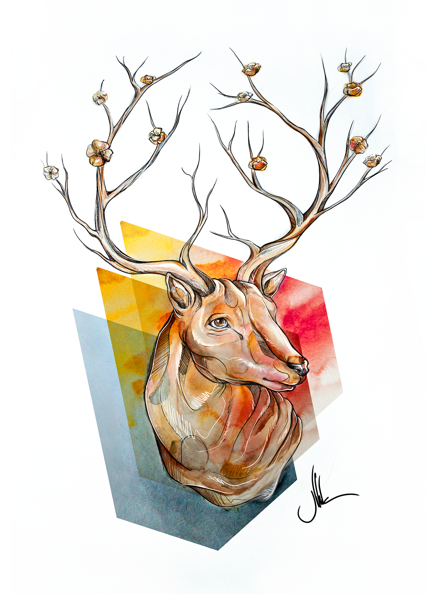 reindeer