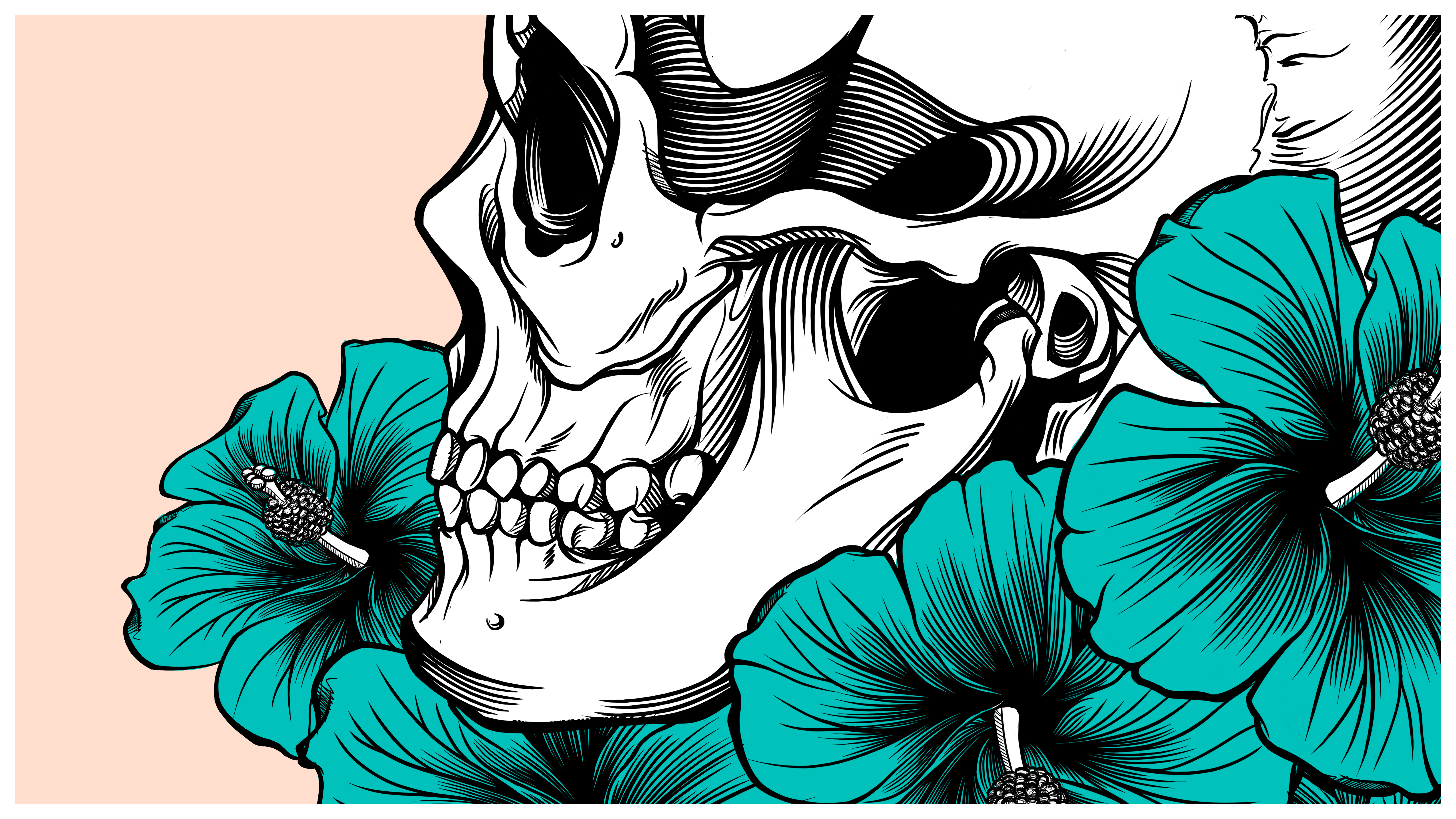 skull_cover