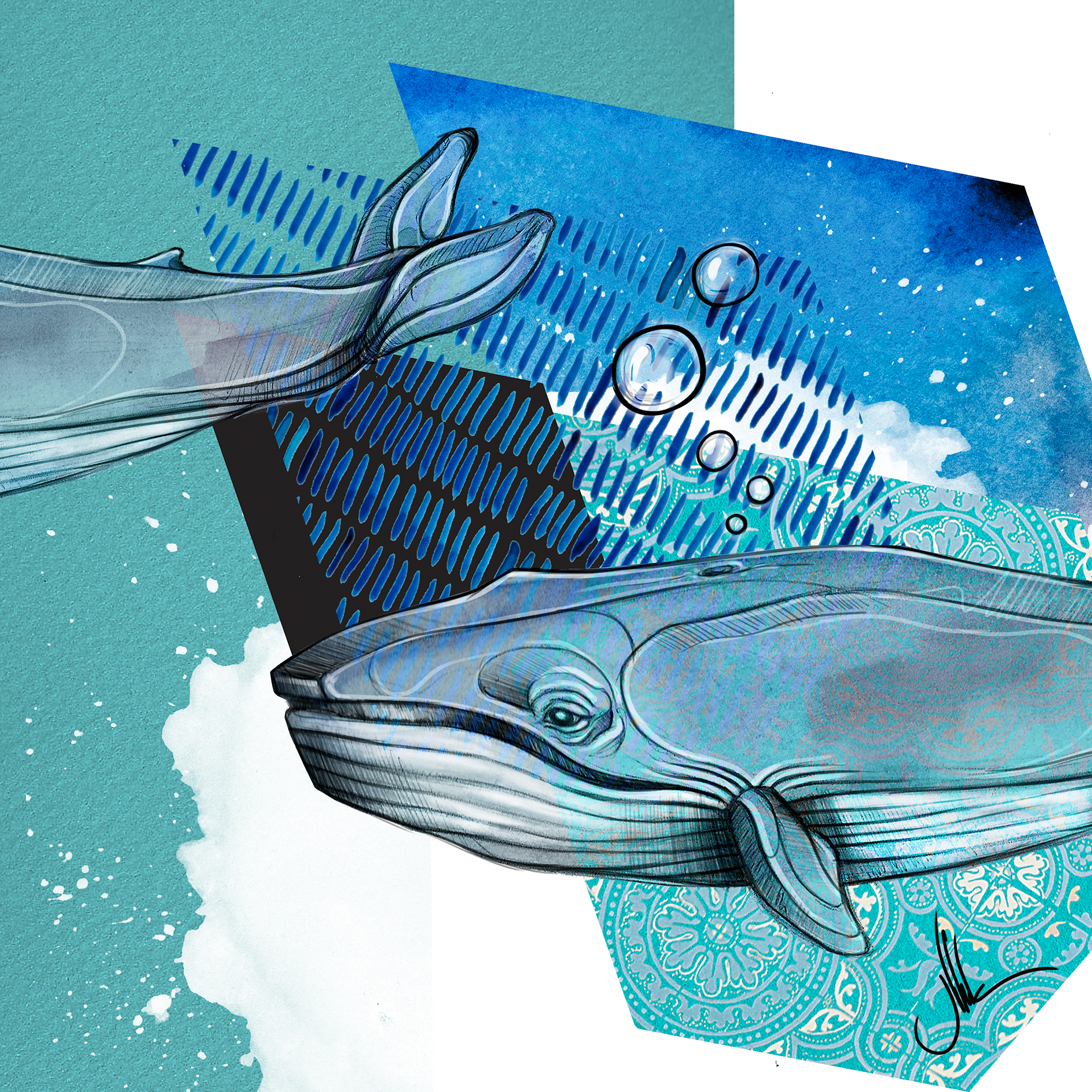 whales